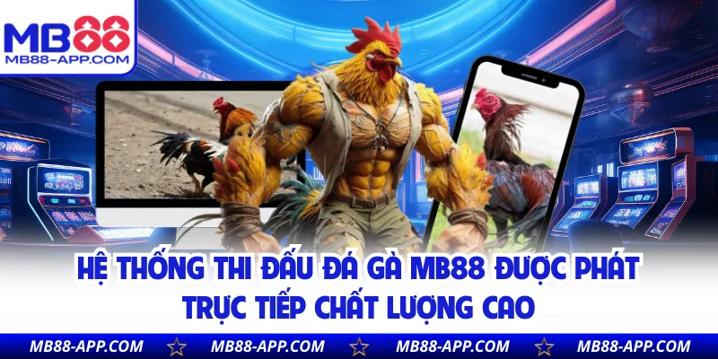 Hệ thống thi đấu đá gà MB88 được phát trực tiếp chất lượng cao